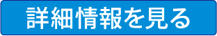 詳細情報を見る